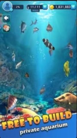 真正的野钓（Real Wild Fishing - Fish Game）