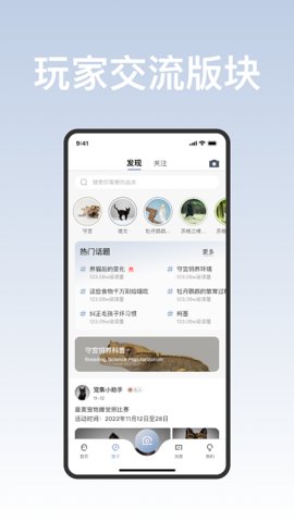 集宠区