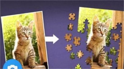 只是拼图游戏（Just Jigsaws）