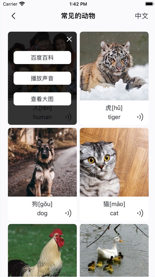 宝贝启蒙