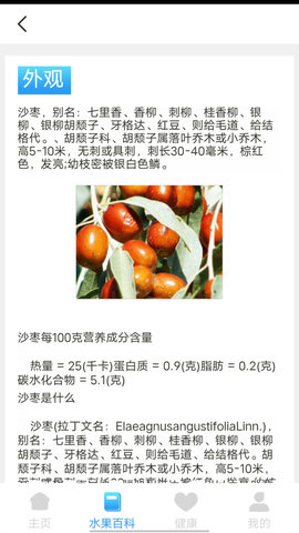 口袋水果app