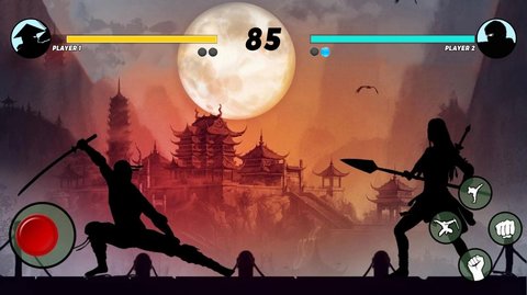 剑影格斗（Shadow Fight Super Battle）