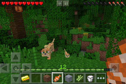 我的世界java版（Minecraft）