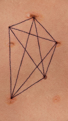 盛开之歌（Song of Bloom）