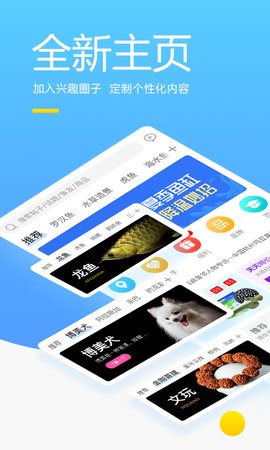 龙巅app