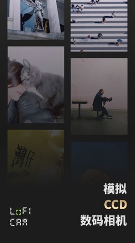 lofi cam安卓版