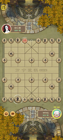 万宁象棋手机版