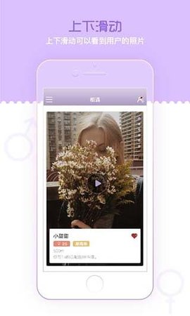 香芋壁纸