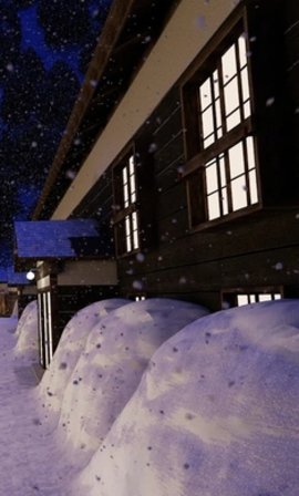 逃离温泉村（Onsen）