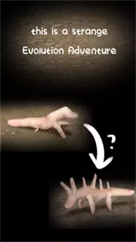 手指错觉（finger illusion）