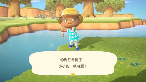 动物之森游戏（Pocket Camp）