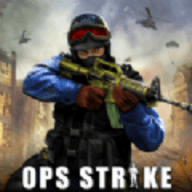 反袭击射击（Counter Shooting Strike Game）
