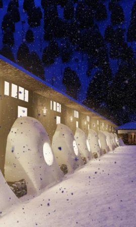 逃离温泉村（Onsen）