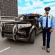 战术小队警察模拟器（City Police Driving Car Simulator）