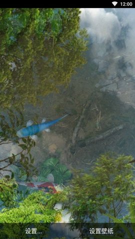 3d鱼池动态壁纸（Koi）