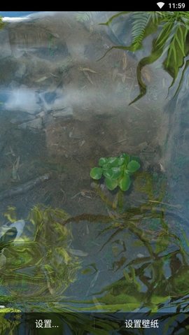 3d鱼池动态壁纸（Koi）