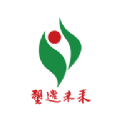 青岛教育