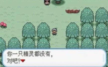口袋妖怪火箭队最新版