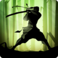 暗影格斗2游戏（Shadow Fight 2）