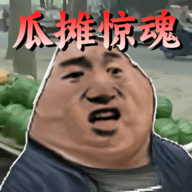 勇士冒险日记瓜摊惊魂（Leaks）