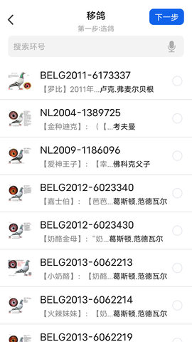 信鸽云