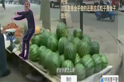 勇士冒险日记瓜摊惊魂（Leaks）