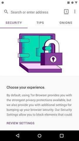 洋葱tor正版（Tor Browser）