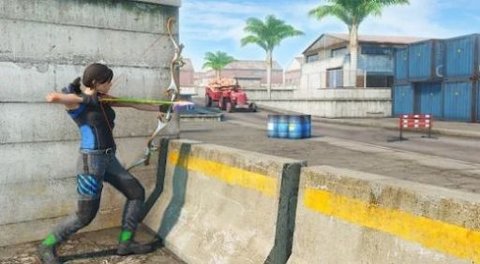 弓箭手猎杀者游戏（Archer Assassin shooting game）