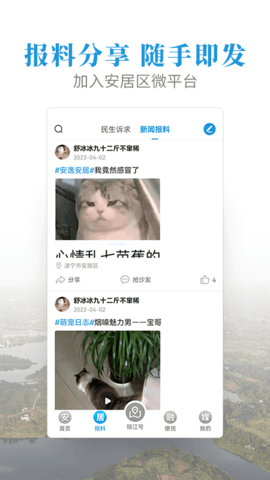 安居融媒app