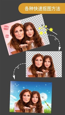 proknockout  app