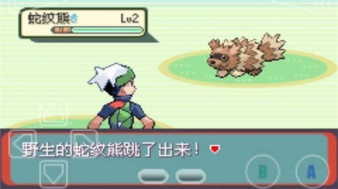 口袋妖怪宝石