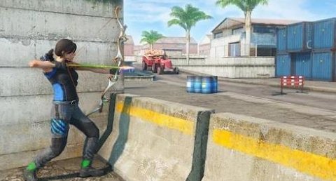 弓箭手猎杀者游戏（Archer Assassin shooting game）