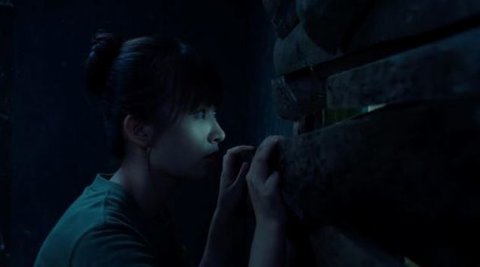 飞跃13号房