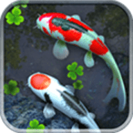 鱼池动态壁纸（Koi）