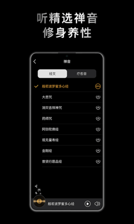 小鲜木鱼正版