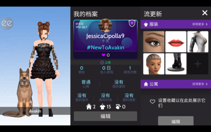 模拟生活3D虚拟世界（Avakin Life）