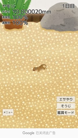 育成疗愈壁虎（ヤモリ育成）