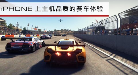 grid2019