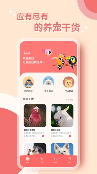 鹦鹉翻译器最新版