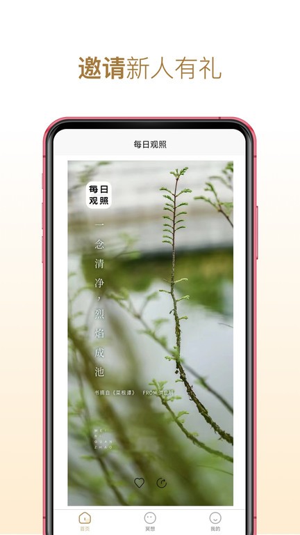 每日观照app