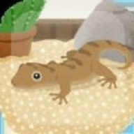 育成疗愈壁虎（ヤモリ育成）