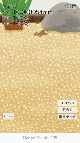 育成疗愈壁虎（ヤモリ育成）