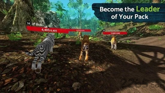 thetiger