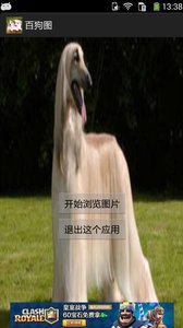 百狗图app
