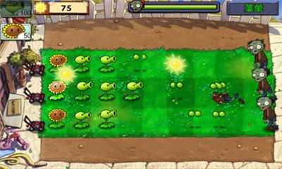 pvz废稿