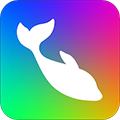 FlowPhoto2023