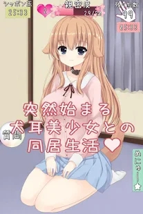 犬耳少女