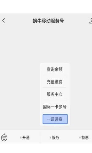 一证通查