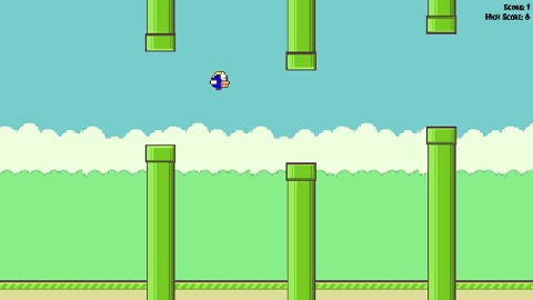 birdy