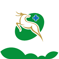 鹿城健康36